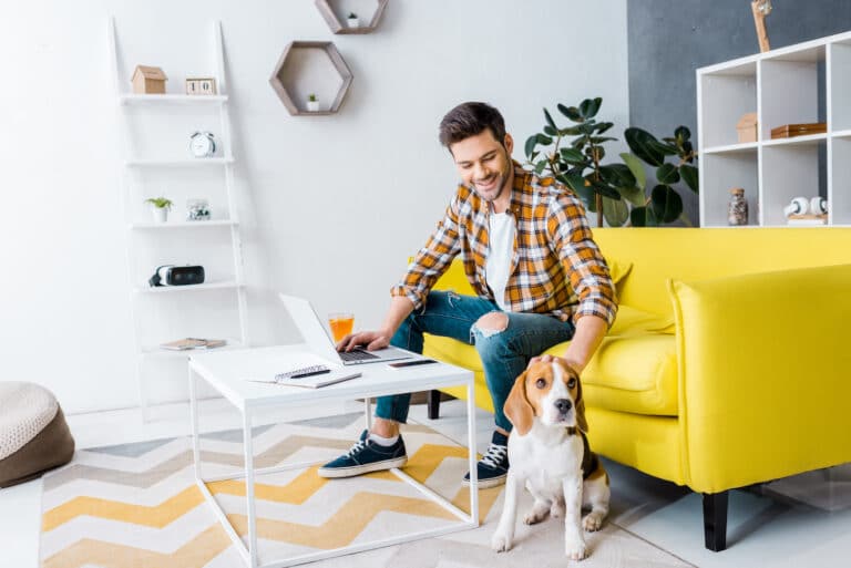 smiling teleworker using laptop in living room with beagle dog